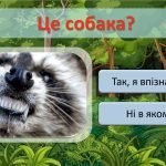 Фото розробки: УРОК ДОБРОТИ Всесвітній день захисту тварин 4 жовтня. Міжнародний день захисту тварин.