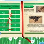 Фото розробки: Звичайні дроби. Порівняння. Мішані