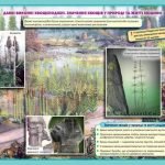 Фото розробки: !!! СПОРОВІ РОСЛИНИ: МОХИ, ПЛАУНИ, ХВОЩІ, ПАПОРОТІ; БУДОВА ТА ЖИТТЄВІ ЦИКЛИ. БІОЛОГІЯ В СХЕМАХ, МАЛЮНКАХ І ТАБЛИЦЯХ. НУШ 7-11 КЛАСИ