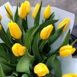 КАЛЕНДАРНО-ТЕМАТИЧНЕ ПЛАНУВАННЯ уроків зарубіжної літератури 7 клас НУШ (70 годин / 2 год