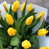 КАЛЕНДАРНО-ТЕМАТИЧНЕ ПЛАНУВАННЯ уроків зарубіжної літератури 7 клас НУШ (70 годин / 2 год