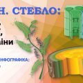 !!! ТКАНИНИ РОСЛИН. ПАГІН. БРУНЬКИ. СТЕБЛО. ВИДОЗМІНИ ПАГОНУ. ТРАНСПОРТ РЕЧОВИН У РОСЛИНІ. БІОЛОГІЯ В СХЕМАХ, МАЛЮНКАХ І ТАБЛИЦЯХ. НУШ 7-11 КЛАСИ