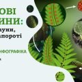 !!! СПОРОВІ РОСЛИНИ: МОХИ, ПЛАУНИ, ХВОЩІ, ПАПОРОТІ; БУДОВА ТА ЖИТТЄВІ ЦИКЛИ. БІОЛОГІЯ В СХЕМАХ, МАЛЮНКАХ І ТАБЛИЦЯХ. НУШ 7-11 КЛАСИ