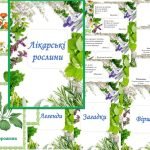 Інформаційний комплект “Лікарські рослини”