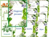 Інформаційний комплект “Лікарські рослини”