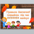 Правила безпечної поведінки під час осінніх канікул (презентація + буклет)