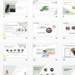 Фото розробки: Життєвий цикл людини. Особливості підліткового віку. Презентація. НУШ, 7 клас, Л. ЗАДОРОЖНА