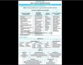 Використання опорних схем як засіб підвищення ефективності навчання школярів