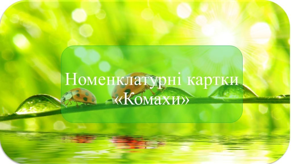 Головне зображення розробки: Монтессорі-картки “Комахи”