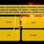 Фото розробки: Електричне поле