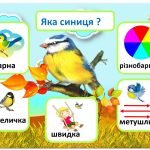 Фото розробки: 12 листопада День синички