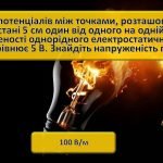 Фото розробки: Електричне поле