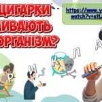 Фото розробки: Презентація “Життя без вейпінгу”. 21 листопада – Всесвітній день відмови від паління