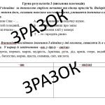 Фото розробки: Комплексна підсумкова робота (КПР) 6 клас НУШ з теми «Іменник (відмінювання і правопис)»