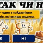 Фото розробки: Голодомор «Хліб-символ життя»