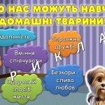 Фото розробки: Презентація “Секрети домашніх тварин” 30 листопада – День домашніх тварин