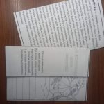 Фото розробки: 12 листопада- День синички