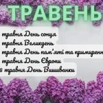 Фото розробки: Набір на всі свята року