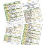 Фото розробки: СВІДОЦТВО ДОСЯГНЕНЬ УЧНІВ 6 класу НУШ(ОНОВЛЕНЕ) ВІДПОВІДНО ДО НАКАЗУ МОН ВІД 02 СЕРПНЯ 2024Р. № 1093