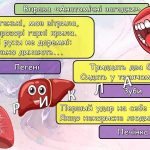 Фото розробки: Ранкові зустрічі 4 клас. ЛИСТОПАД . 3-й місяць. ЧАРІВНІ ПЕРЕТВОРЕННЯ. Комплект презентацій 20 шт. Ра