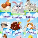 Фото розробки: Наочний матеріал з англійської мови “На фермі”