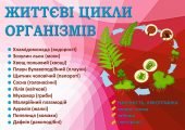 РОЗМНОЖЕННЯ ТА ЖИТТЄВІ ЦИКЛИ ОРГАНІЗМІВ. ІНФОГРАФІКА ДО УРОКІВ БІОЛОГІЇ. НУШ. 7-11 КЛАСИ