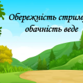Презентація на тему: ” § 3. Обережність стримує, обачність веде”. 6 кл. Нуш. Василенко