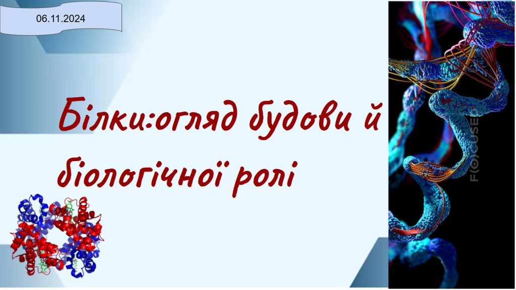 Головне зображення розробки: Білки:огляд будови й біологічної ролі