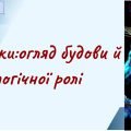 Білки:огляд будови й біологічної ролі