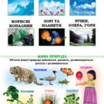 Фото розробки: 1-5 кл. Я ДОСЛІДЖУЮ СВІТ. ПІЗНАЄМО ПРИРОДУ. ПРИРОДА ЖИВА ТА НЕЖИВА. НАОЧНІСТЬ