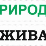 Фото розробки: 1-5 кл. Я ДОСЛІДЖУЮ СВІТ. ПІЗНАЄМО ПРИРОДУ. ПРИРОДА ЖИВА ТА НЕЖИВА. НАОЧНІСТЬ