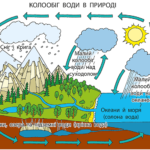 Практична робота для 6 класу НУШ на тему “Аналіз схем кругообігу води, кисню, карбону в природі” за програмою Запотоцького С