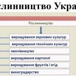 Презентація з географії для 9 класу на тему “Рослинництво України”