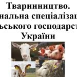 Презентація з географії для 9 класу на тему “Тваринництво України”. Сільськогосподарські землі”