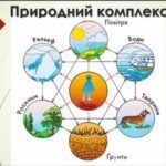 Практична робота для 6 класу НУШ на тему “Характеристика одного природного комплексу” за програмою Запотоцького С