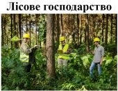 Презентація з географії для 9 класу на тему “Лісове господарство світу та України”