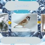 Фото розробки: математика 7 клас Повторення підсумкова 1 семестр