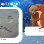 Фото розробки: Зимова казка