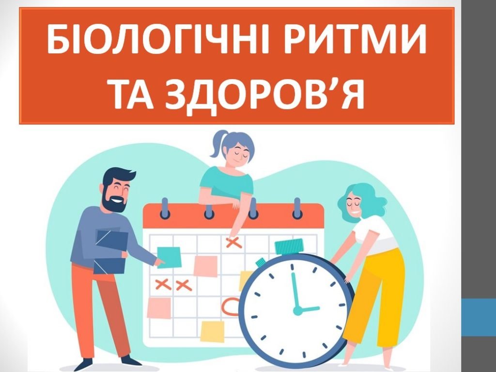 Головне зображення розробки: Презентація “Біологічні ритми та здоров’я” ( 7 клас НУШ)