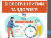 Презентація “Біологічні ритми та здоров’я” ( 7 клас НУШ)