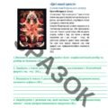 Підсумкова робота за ГР 2 “Дієприкметник. Дієслівні форми на -но, -то. Дієприслівник”