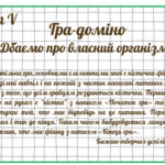 Ігри доміно 5 клас ЗБД за підручником Василенко С., Коваль Я., Колотій Л.