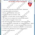 Біологічні диктанти 8 клас: “Будова серця”, “Кола кровообігу” (2шт.)
