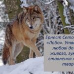 Ернест Сетон-Томпсон «Лобо». Утвердження любові до всього живого, гуманного ставлення людей до тварин