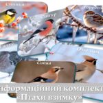 Інформаційний комплект “Птахи взимку”+картка-схема для складання опису