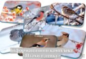 Інформаційний комплект “Птахи взимку”+картка-схема для складання опису