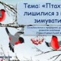 Конспект та презентація до заняття на тему: “Птахи, які лишилися з нами зимувати”