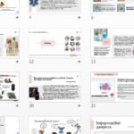 Фото розробки: Гігієнічні правила й норми. НУШ, 7 КЛАС, Л. ЗАДОРОЖНА