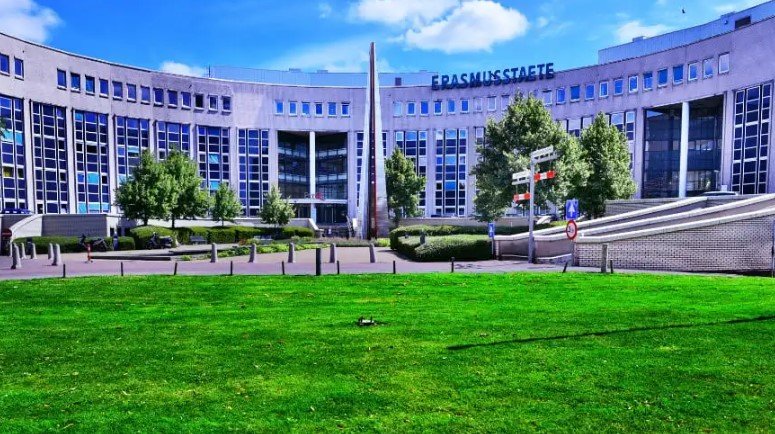 Система образования в Нидерландах (Голландии)