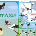 Інформаційний комплект “Птахи”
